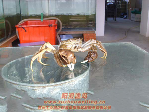 �������κ���բз�ص�֮һ