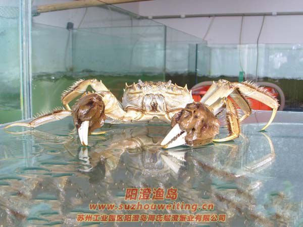 �������κ���բз�ص�֮һ