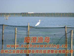 ����ͼƬ��