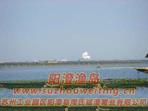 ����ͼƬ��