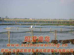 ����ͼƬ��