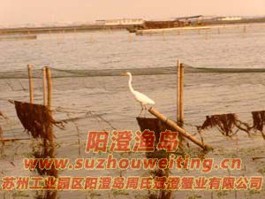 ����ͼƬ��