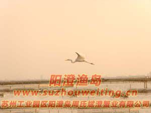 ����ͼƬ��