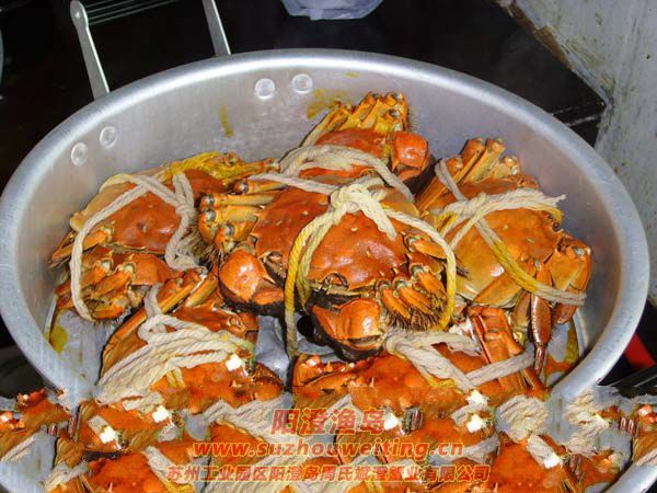 �������κ���բз