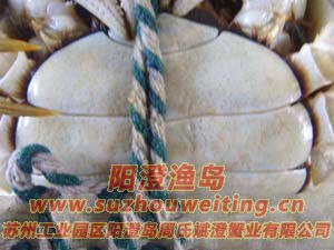 ���κ���բз��ĸ�Ա�