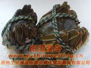 ���κ���բз��ĸ�Ա�