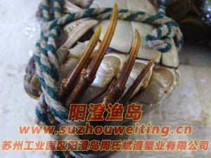 ���κ���բз��ĸ�Ա�