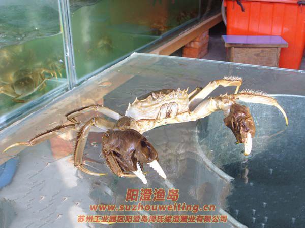 �������κ���բз�ص�֮һ