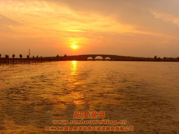 ���κ�����ͼƬʮ