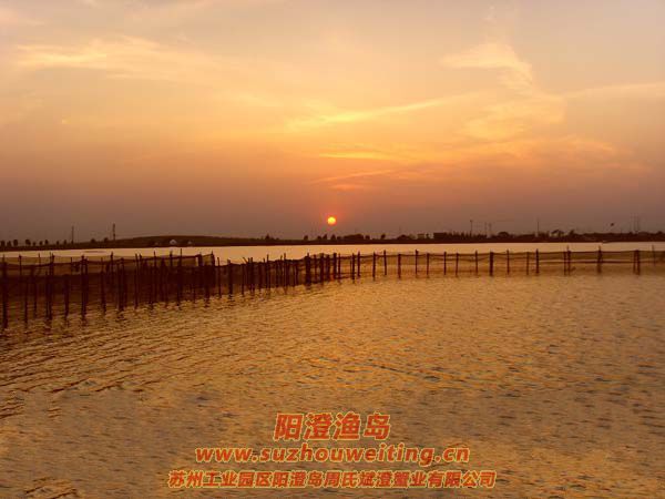 ���κ�����ͼƬ��