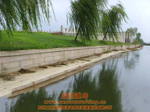 ���κ���������ͼƬ��