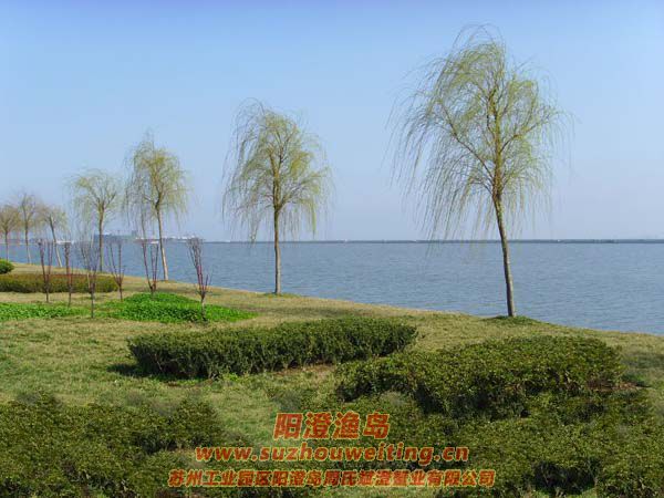 ���κ���������ͼƬ��