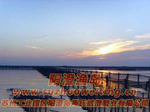 ���κ����ճ�ͼƬ��