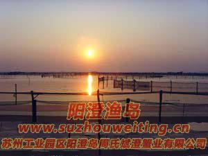 ���κ����ճ�ͼƬ��