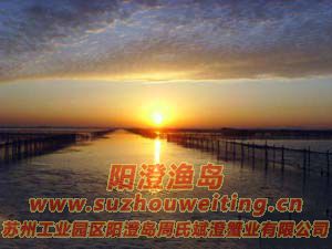 ���κ����ճ�ͼƬ��