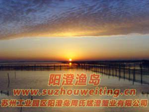 ���κ����ճ�ͼƬ��