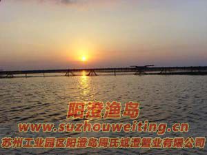 ���κ����ճ�ͼƬ��