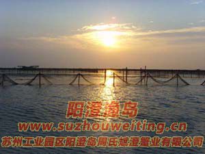 ���κ����ճ�ͼƬ��