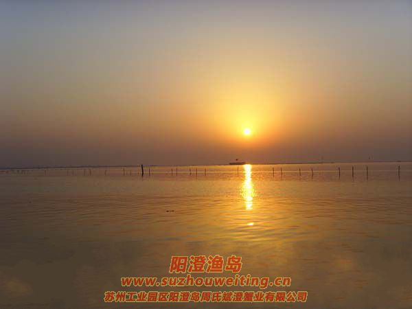 ���κ��ճ�ͼƬʮ