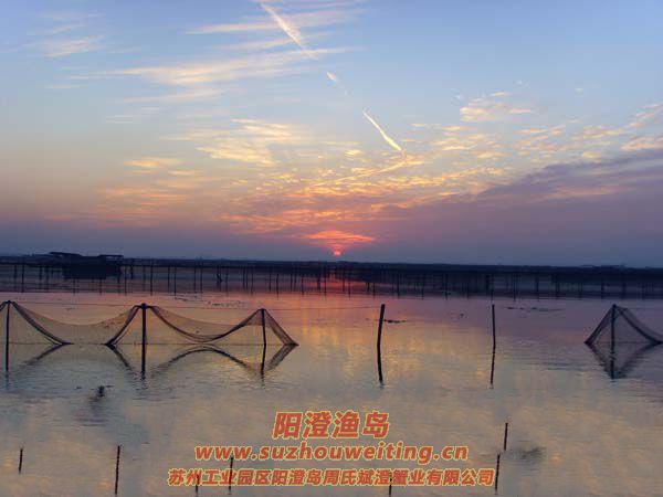 ���κ��ճ�ͼƬ��