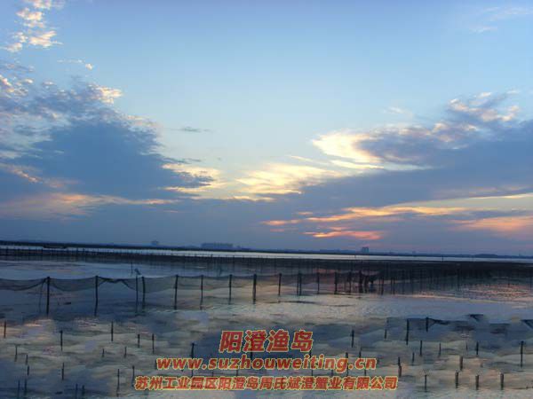 ���κ��ճ�ͼƬʮ��