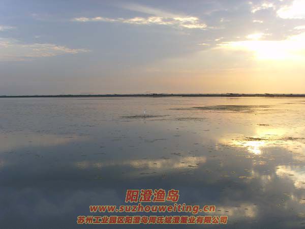 ���κ��ճ�ͼƬʮ��