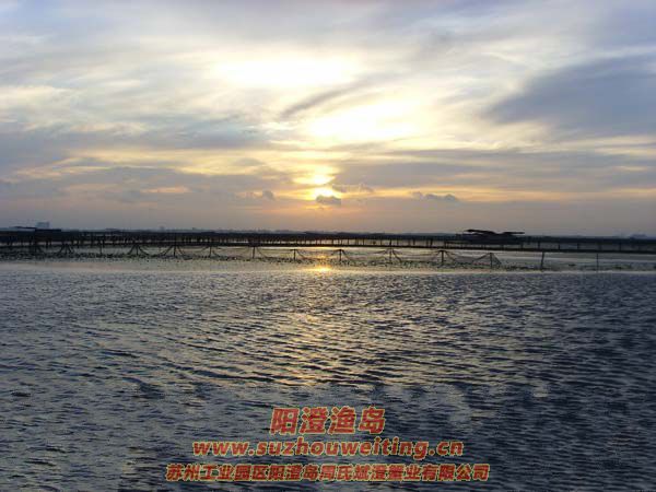 ���κ��ճ�ͼƬʮ��