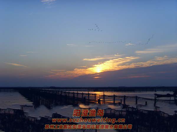 ���κ��ճ�ͼƬʮ��