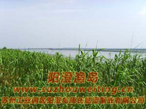 ����«έͼƬ��