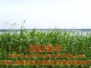 ����«έͼƬ��