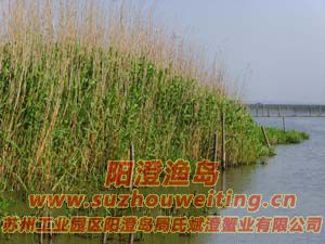 ����«έͼƬ��