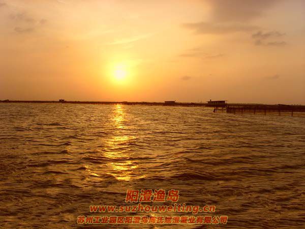 ���κ�����ͼƬʮһ