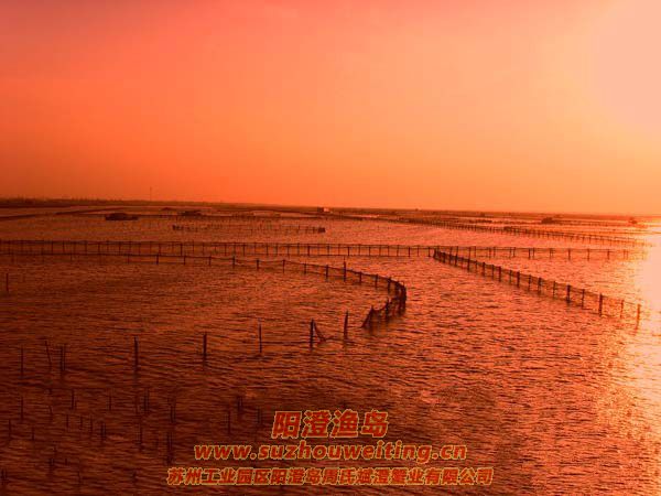 ���κ�����ͼƬʮ��