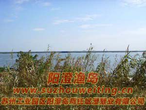 ����«έͼƬ��