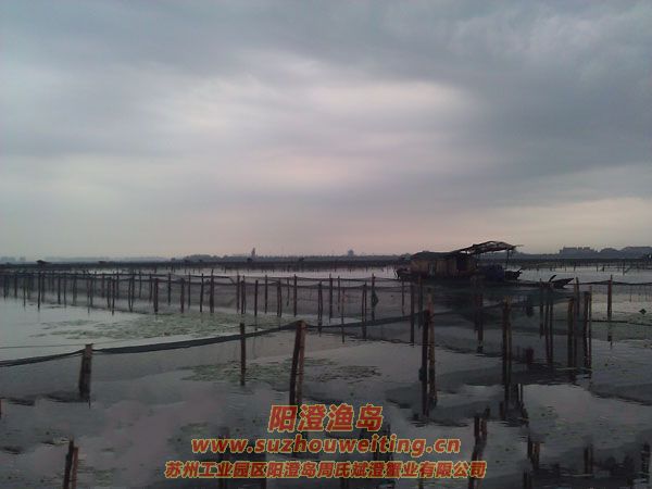 �������κ�ͼƬ��