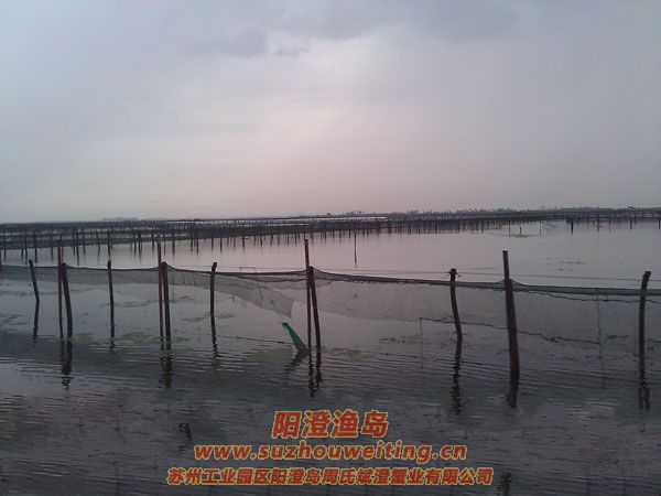 �������κ�ͼƬһ