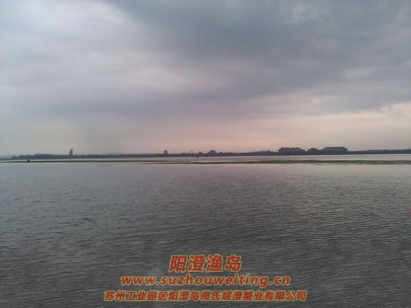 �������κ�ͼƬ��