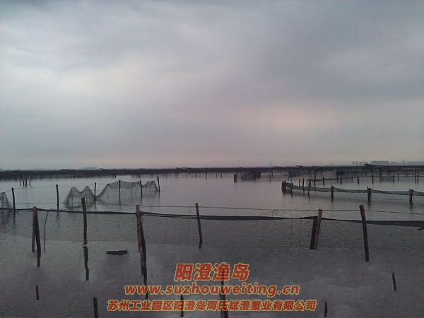 �������κ�ͼƬ��