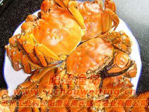 ���κ���բз����