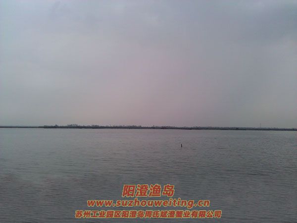 �������κ�ͼƬ��