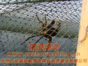 ������з����