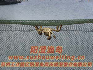 ������з����