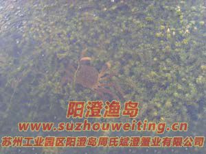 ˮ���ϵ����κ���բз