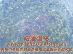 ˮ���ϵ����κ���բз