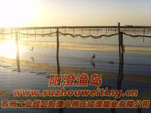 ������з����