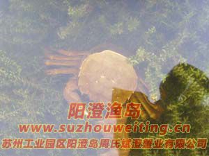 ˮ���ϵ����κ���բз