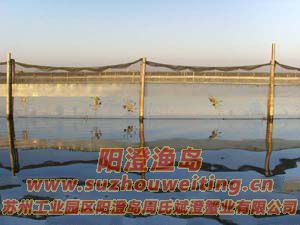 ������з����