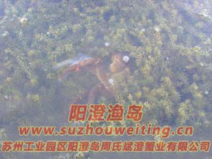 ˮ���ϵ����κ���բз