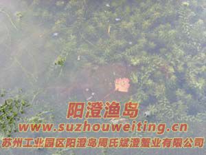 ˮ���ϵ����κ���բз