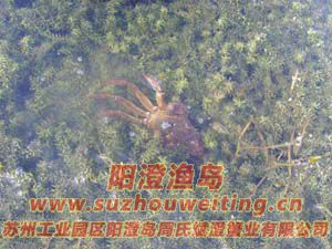 ˮ���ϵ����κ���բз